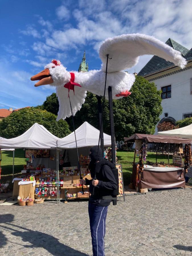 Appartamento Krizkov Dom Kremnica Esterno foto